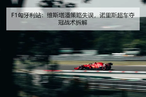 xiong-ya-li-zhan-wei-si-ta-pan-ce-lve-shi-wu-nuo-li-si-chao-che-duo-guan-zhan-shu-chai-jie-2-171.jpg
