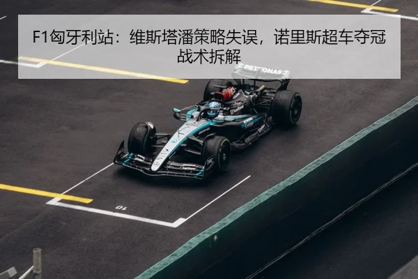 xiong-ya-li-zhan-wei-si-ta-pan-ce-lve-shi-wu-nuo-li-si-chao-che-duo-guan-zhan-shu-chai-jie-3-467.jpg