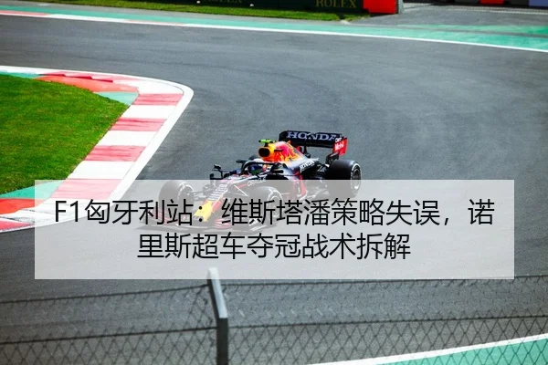 F1匈牙利站：维斯塔潘策略失误，诺里斯超车夺冠战术拆解