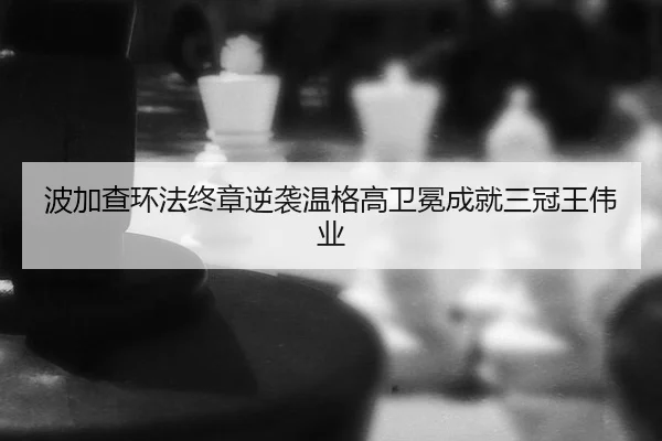 bo-jia-cha-huan-fa-zhong-zhang-ni-xi-wen-ge-gao-wei-mian-cheng-jiu-san-guan-wang-wei-ye-3-314.jpg