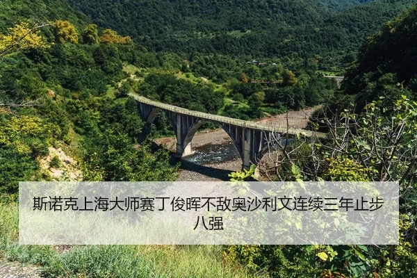 si-nuo-ke-shang-hai-da-shi-sai-ding-jun-hui-bu-di-ao-sha-li-wen-lian-xu-san-nian-zhi-bu-ba-qiang-2-214.jpg