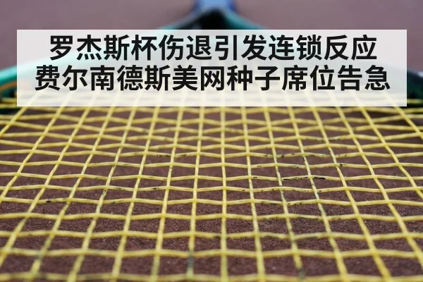 罗杰斯杯伤退引发连锁反应 费尔南德斯美网种子席位告急