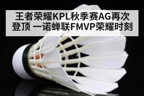 王者荣耀KPL秋季赛AG再次登顶 一诺蝉联FMVP荣耀时刻