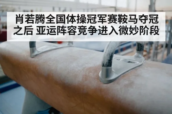 肖若腾全国体操冠军赛鞍马夺冠之后 亚运阵容竞争进入微妙阶段